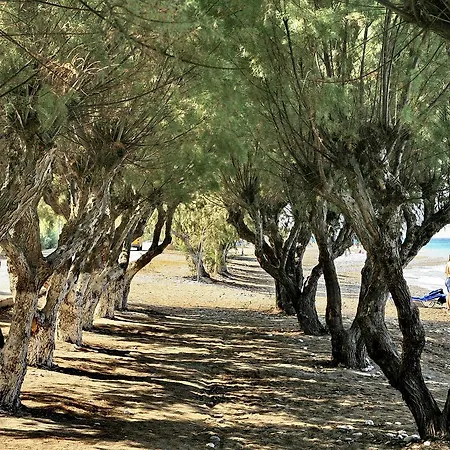 Senses Ocean Blue Sea Side 度假村 4*