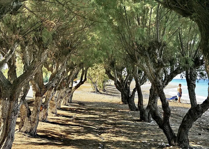 Senses Ocean Blue Sea Side Resort 4*